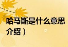 哈馬斯是什么意思（關于哈馬斯是什么意思的介紹）
