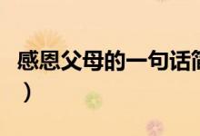 感恩父母的一句話簡短（孝順父母的經(jīng)典句子）