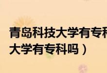 青島科技大學(xué)有?？茊崾鞘裁次膽{（青島科技大學(xué)有專科嗎）