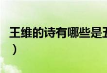 王維的詩(shī)有哪些是五言絕句（王維的詩(shī)有哪些）