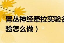 臂叢神經(jīng)牽拉實(shí)驗(yàn)名詞解釋（臂叢神經(jīng)牽拉實(shí)驗(yàn)怎么做）