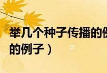 舉幾個(gè)種子傳播的例子圖片（舉幾個(gè)種子傳播的例子）
