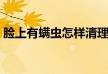 臉上有螨蟲怎樣清理（臉上有螨蟲怎么去掉）