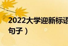 2022大學(xué)迎新標語口號（歡迎新同學(xué)的優(yōu)美句子）