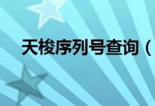 天梭序列號(hào)查詢（天梭序列號(hào)查詢網(wǎng)址）
