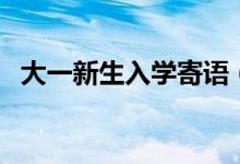 大一新生入學(xué)寄語(yǔ)（新學(xué)期開(kāi)學(xué)文案精選）