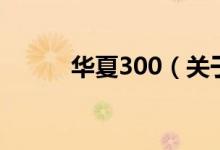 華夏300（關(guān)于華夏300的介紹）