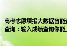 高考志愿填報大數(shù)據(jù)智能查詢系統(tǒng)（2022年高考志愿大數(shù)據(jù)查詢：輸入成績查詢你能上的大學(xué)）