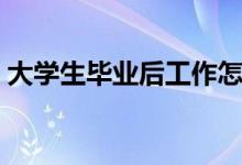 大學生畢業(yè)后工作怎么找（如何能找到工作）