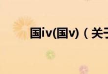 國iv(國v)（關于國iv(國v)的介紹）