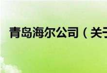 青島海爾公司（關(guān)于青島海爾公司的介紹）
