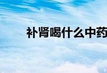 補(bǔ)腎喝什么中藥（補(bǔ)腎喝什么茶好）