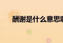 酬謝是什么意思?。ǔ曛x是什么意思）