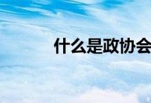 什么是政協(xié)會議（什么是駢文）