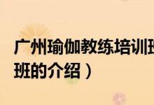 廣州瑜伽教練培訓(xùn)班（關(guān)于廣州瑜伽教練培訓(xùn)班的介紹）