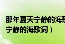 那年夏天寧?kù)o的海歌詞想表達(dá)什么（那年夏天寧?kù)o的海歌詞）