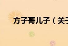方子哥兒子（關(guān)于方子哥兒子的介紹）