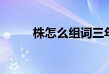 株怎么組詞三年級(jí)（株怎么組詞）