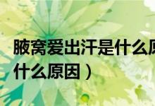 腋窩愛出汗是什么原因造成的(腋窩愛出汗是什么原因)