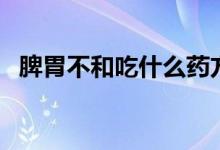 脾胃不和吃什么藥方(脾胃不和吃什么藥)