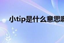 小tip是什么意思?。ㄐIP是什么意思）