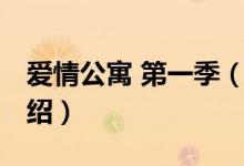 愛情公寓 第一季（關(guān)于愛情公寓 第一季的介紹）