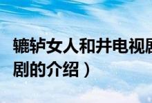 轆轤女人和井電視劇（關(guān)于轆轤女人和井電視劇的介紹）
