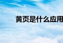 黃頁(yè)是什么應(yīng)用軟件（黃頁(yè)是什么）