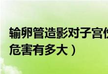 輸卵管造影對子宮傷害大嗎（子宮輸卵管造影危害有多大）