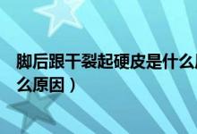 腳后跟干裂起硬皮是什么原因呢（腳后跟干裂、起硬皮是什么原因）