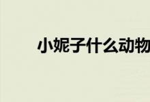 小妮子什么動物（小妮子什么意思）
