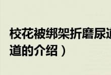 校花被綁架折磨尿道（關(guān)于?；ū唤壖苷勰ツ虻赖慕榻B）