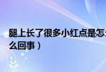 腿上長了很多小紅點(diǎn)是怎么回事（腿上長了很多小紅點(diǎn)是怎么回事）