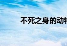 不死之身的動(dòng)物（不死之身歌詞）