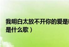 我明白太放不開(kāi)你的愛(ài)是哪一首歌（我明白太放不開(kāi)你的愛(ài)是什么歌）