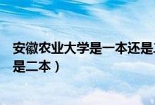 安徽農(nóng)業(yè)大學(xué)是一本還是二本學(xué)校（安徽農(nóng)業(yè)大學(xué)是一本還是二本）