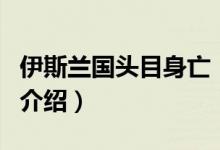 伊斯蘭國(guó)頭目身亡（關(guān)于伊斯蘭國(guó)頭目身亡的介紹）