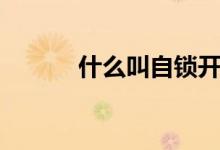 什么叫自鎖開關（什么叫自鎖）