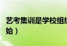 藝考集訓是學校組織還是自己找（什么時候開始）