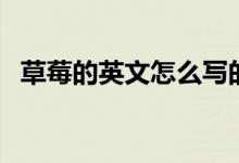 草莓的英文怎么寫的（草莓的英文怎么寫）