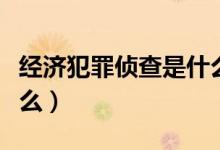 經(jīng)濟(jì)犯罪偵查是什么專業(yè)（經(jīng)濟(jì)犯罪偵查學(xué)什么）