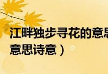 江畔獨(dú)步尋花的意思作業(yè)幫（江畔獨(dú)步尋花的意思詩(shī)意）