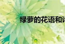 綠蘿的花語和詩句（綠蘿的花語）