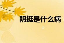 陰挺是什么?。幫κ鞘裁匆馑迹?class=