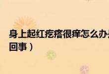 身上起紅疙瘩很癢怎么辦是什么?。ㄉ砩掀鸺t疙瘩很癢怎么回事）