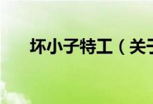 壞小子特工（關(guān)于壞小子特工的介紹）