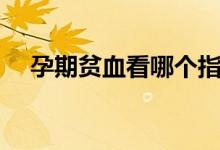 孕期貧血看哪個(gè)指標(biāo)（孕期貧血的危害）