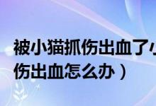 被小貓抓傷出血了小貓沒有狂犬?。ū恍∝堊鲅趺崔k）