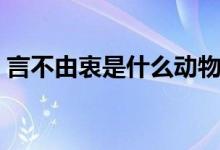 言不由衷是什么動(dòng)物（言不由衷是什么意思）